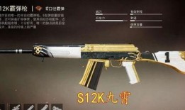 吃鸡爆料枪皮最新